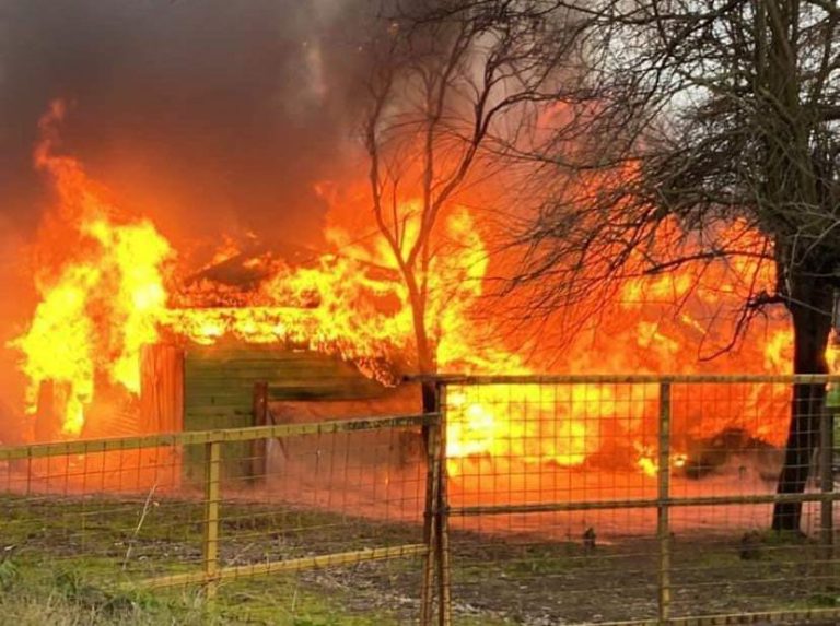 Incendio destruyó vivienda en sector rural de Renaico