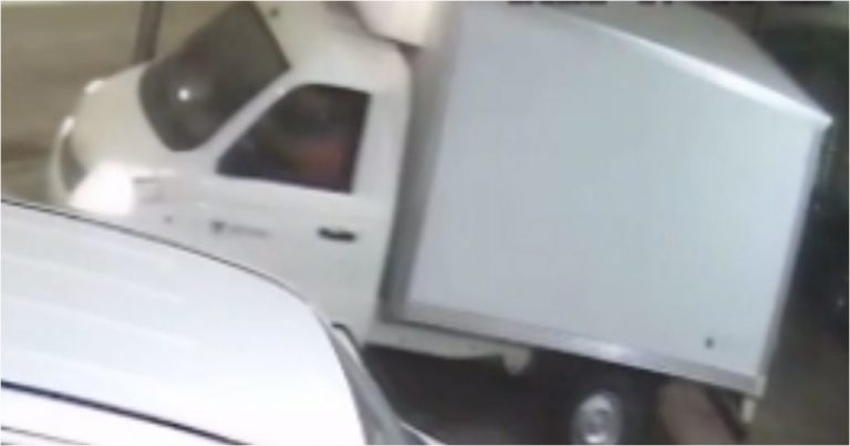Carabineros de Paillihue recuperó en tiempo récord un camión robado