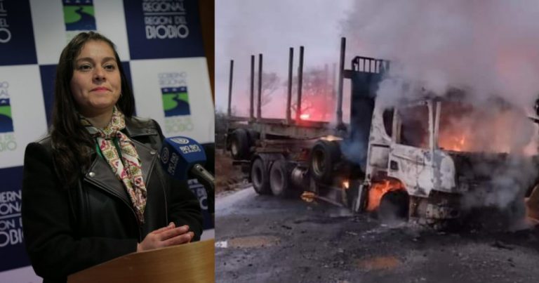 Diputada Karen Medina y atentado en Collipulli: «El gobierno improvisa y no brinda seguridad»