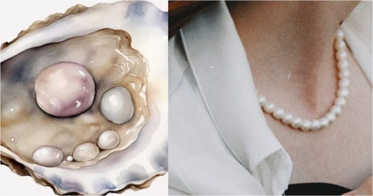 ¿Cómo se cultivan perlas dentro de una ostra?