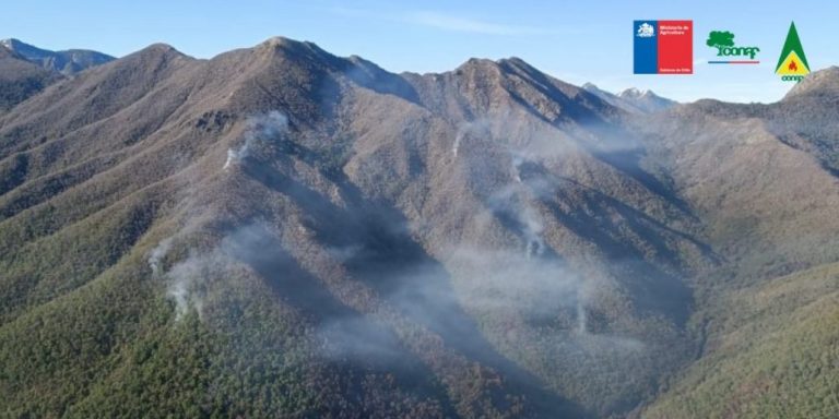 Incendio forestal se mantiene activo en Santa Bárbara: sigue la alerta amarilla