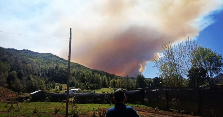 Decretan Alerta Amarilla por incendio forestal fuera de control en Santa Bárbara