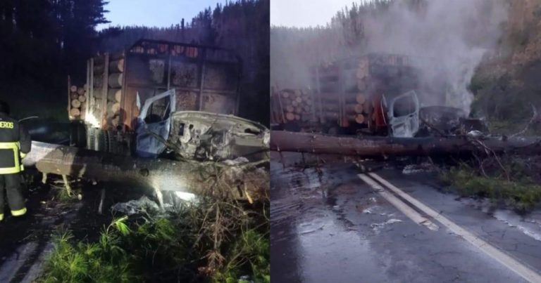 Árboles caídos y tres camiones incendiados deja un nuevo atentado en La Araucanía