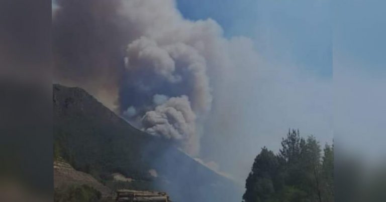 Controlan incendio forestal en el sector San Lorenzo en Santa Bárbara