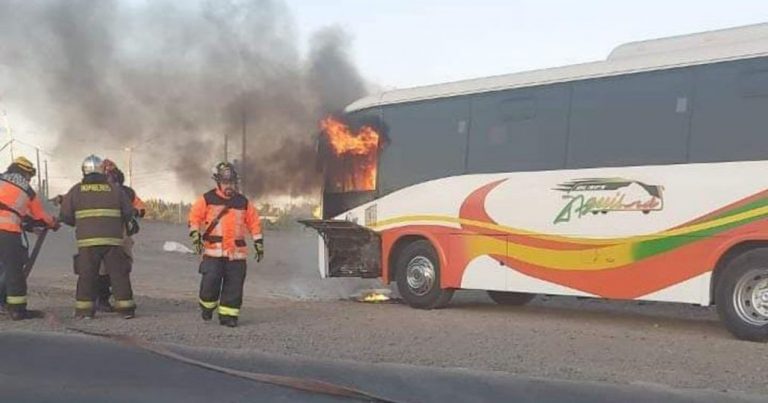 Incendio afectó a un bus en la ruta que une Renaico con Angol