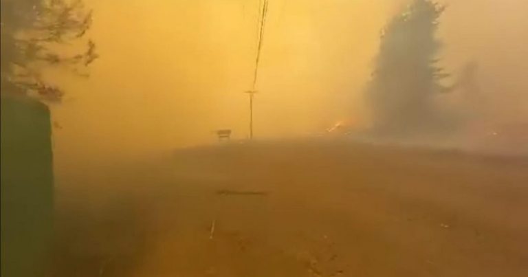 2.250 hectáreas afectadas tras quema autorizada que provocó el incendio forestal en Santa Bárbara