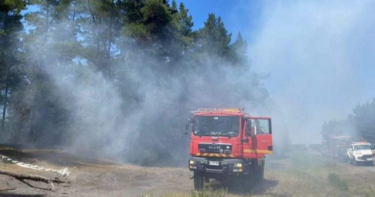 Incendio de pastizales movilizó a bomberos de dos comunas en Yumbel