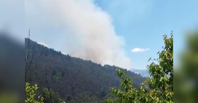 Incendio forestal activo moviliza varios recursos de combate en Nacimiento