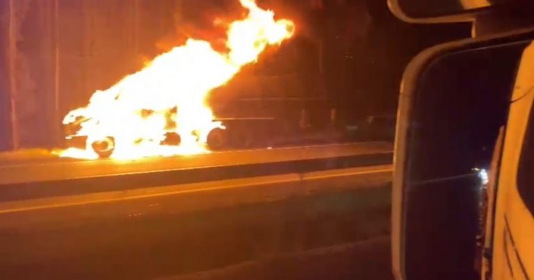 Camión resultó completamente destruido por incendio en la Ruta 5 Sur en Mulchén
