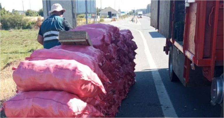 SAG retiene 100 sacos de papas que  intentaban comercializar en la provincia de Arauco