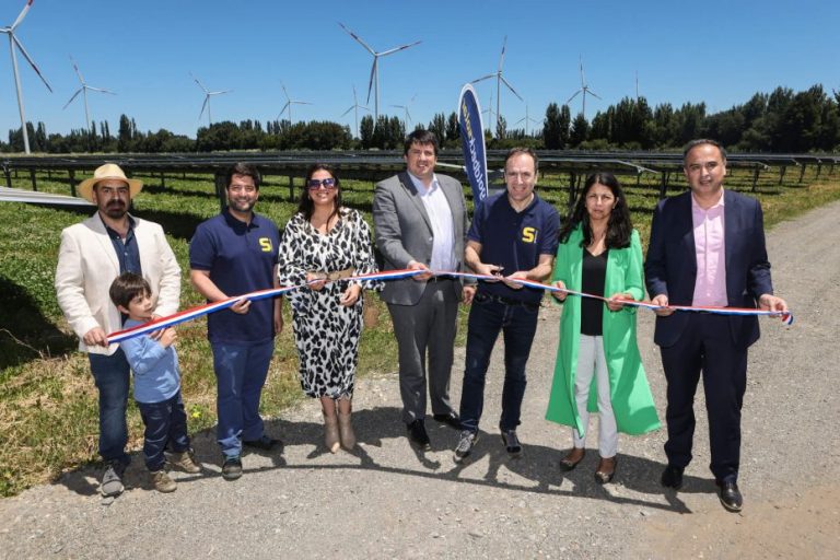 Inauguran dos grandes parques solares en Chile: Están ubicados en Paillihue y Laja