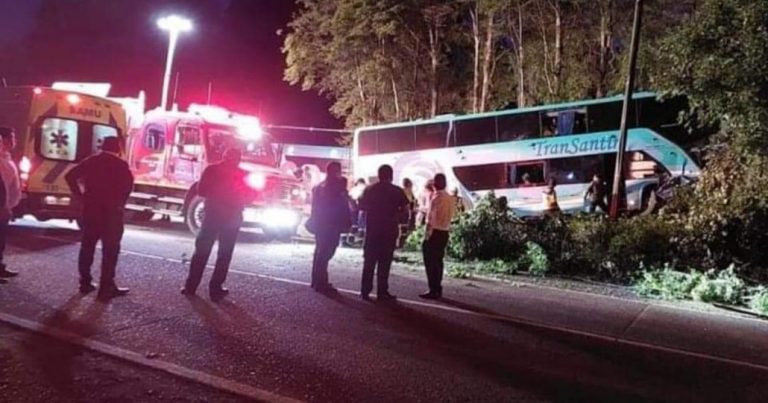 Más de 20 lesionados deja choque de un bus en la región de La Araucanía