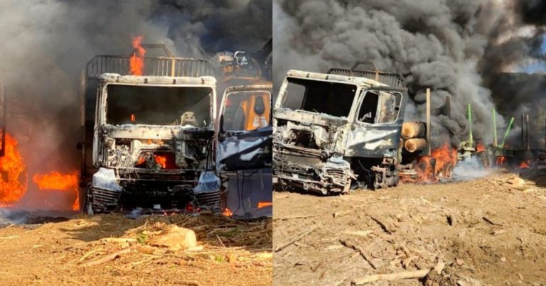 Atentado incendiario deja cinco vehículos destruidos por las llamas en Contulmo