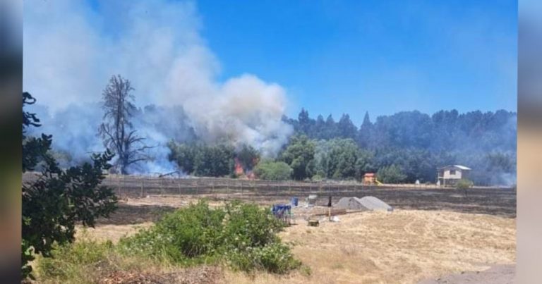 San Rosendo: Hombre es detenido tras provocar incendio forestal al usar un galletero
