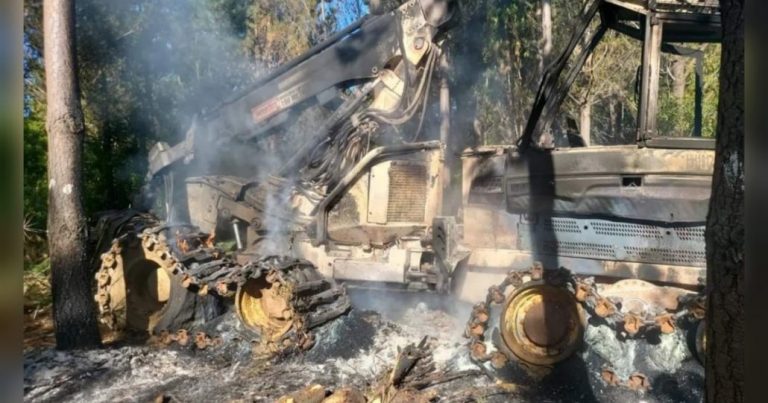 Atentado incendiario deja tres vehículos destruidos en La Araucanía: WAM se atribuyó el ataque