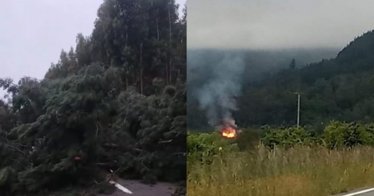 Sujetos realizan cortes de rutas y queman una vivienda en la provincia de Arauco