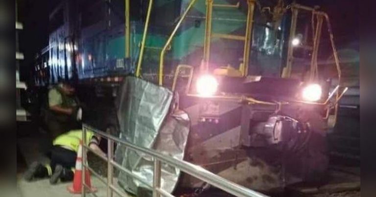 Tragedia en Chiguayante: Hombre en silla de ruedas fallece tras ser atropellado por un tren de carga