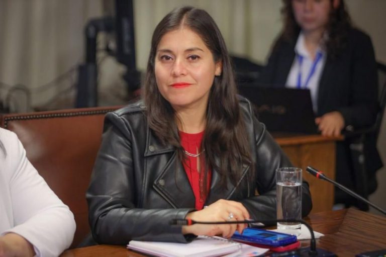 Megafraude tributario: Diputada Karen Medina emplaza al SII por transparencia y rendición de cuentas