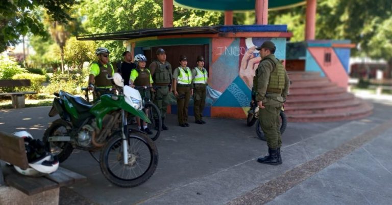 Dos detenidos deja trabajo operacional de Carabineros en la comuna de Mulchén