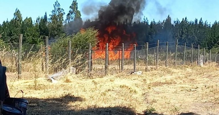 Los Ángeles: Incendio forestal en Chacayal Sur consumió más de 15 hectáreas