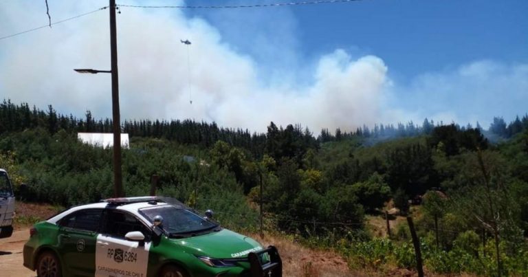 Incendio en Yumbel: 35 hectáreas consumidas y alerta roja aún vigente