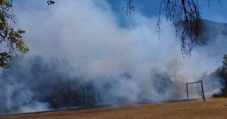 Incendio forestal en Alto Biobío logró ser controlado y extinguido