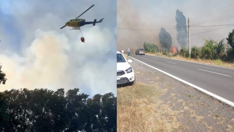 Decretan Alerta Amarilla por incendio forestal en el sector Chacayal Sur de Los Ángeles