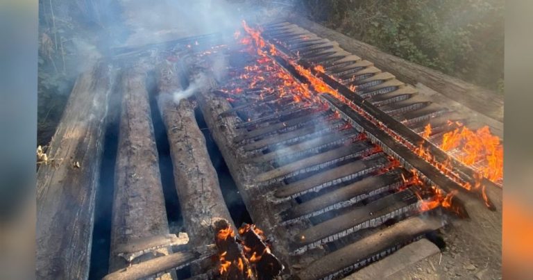 Investigan incendio intencional que afectó a puente en sector rural de Mulchén