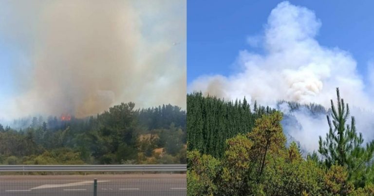 Declaran Alerta Roja en Yumbel por incendio forestal fuera de control