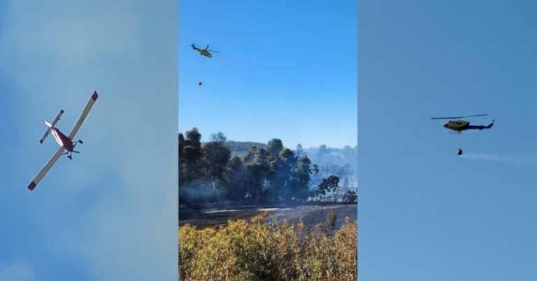 Incendio forestal «Mackenna» en Los Ángeles fue controlado: casi 23 hectáreas afectadas