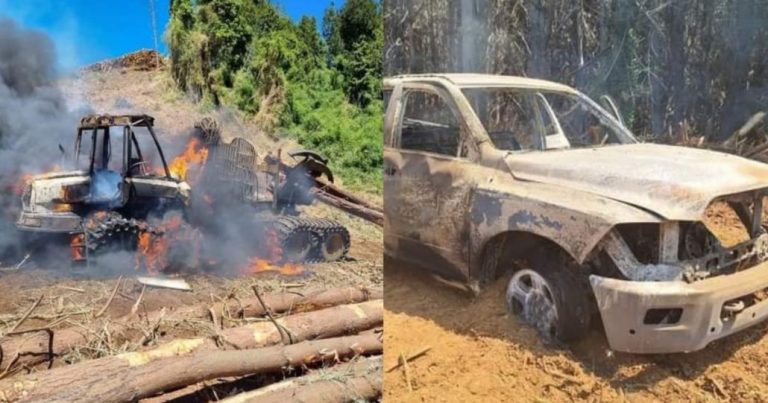 CAM se adjudica atentado incendiario que provocó un incendio forestal en La Araucanía