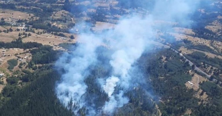 Brigadas aéreas y terrestres combaten incendio forestal en Yumbel
