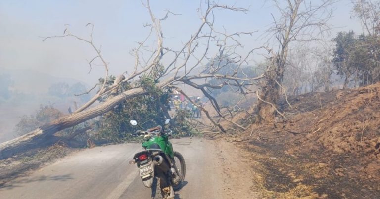 SML confirma 123 fallecidos por incendios forestales y solo se han identificado 33 víctimas