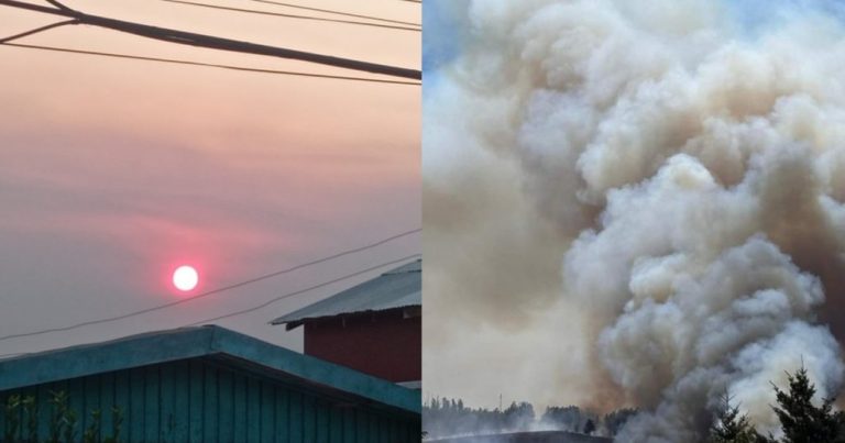 Incendios forestales en La Araucanía avanzan sin control: el humo ya llegó al Biobío