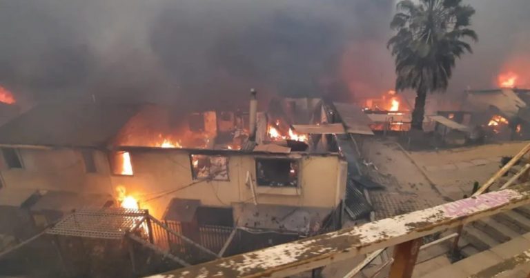 Región de Valparaíso: delegada presidencial (s) confirma que habrían 10 muertos por incendio forestal
