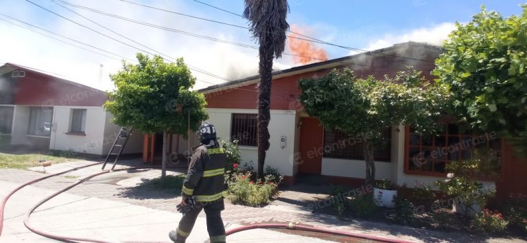 Incendio moviliza a equipos de emergencia en las cercanías de Iansa en Los Ángeles