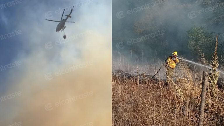 Incendio forestal afecta a el sector El Peral en Los Ángeles