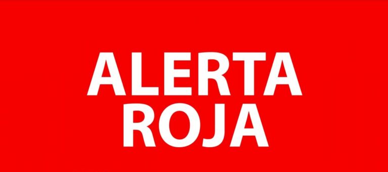 Declaran Alerta Roja en Mulchén por incendio forestal fuera de control