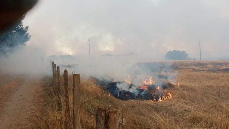Alerta roja para Tirúa por incendio forestal: se han declarado evacuaciones