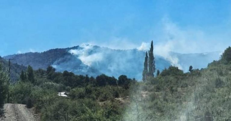 Incendio forestal en Alto Biobío lleva más de 500 hectáreas consumidas