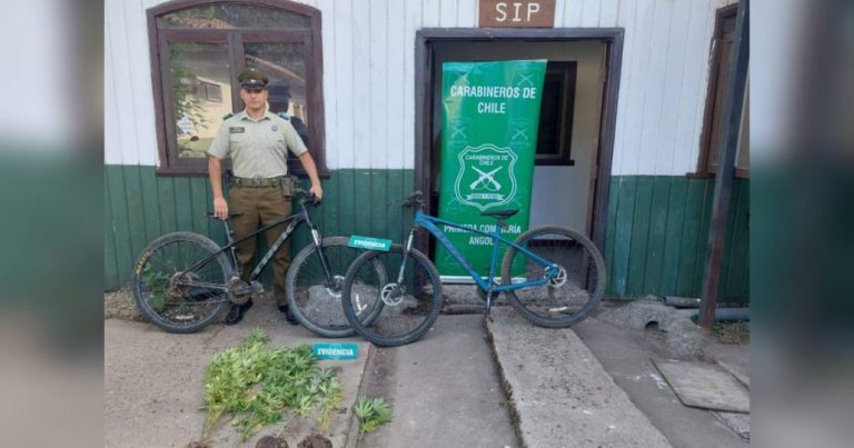 Delincuente fue detenido con marihuana y bicicletas robadas en Angol