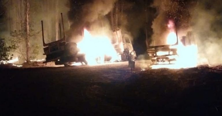 Grupo mapuche de la WAM quema varios vehículos en faena de CMPC en La Araucanía