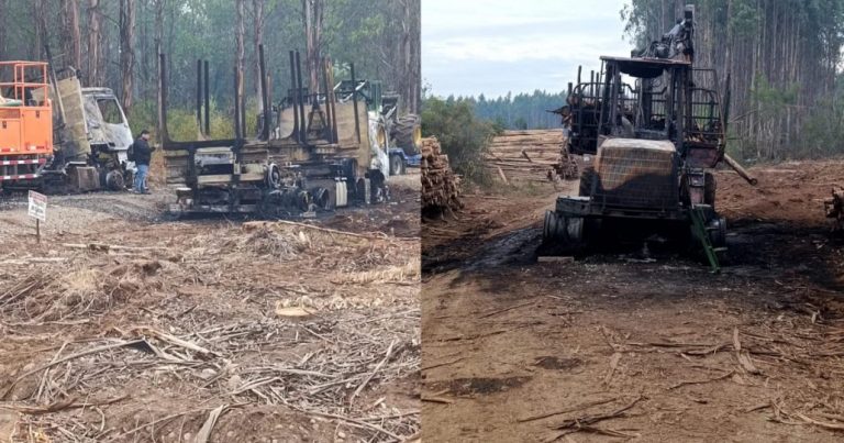 CMPC se refiere a atentado en una de sus faenas forestales en la comuna de Freire