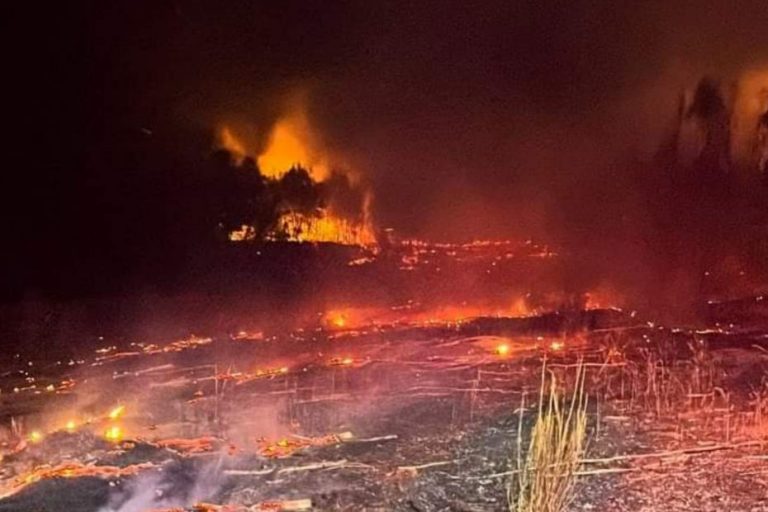 Incendio forestal fuera de control mantiene en alerta a la comuna de Mulchén