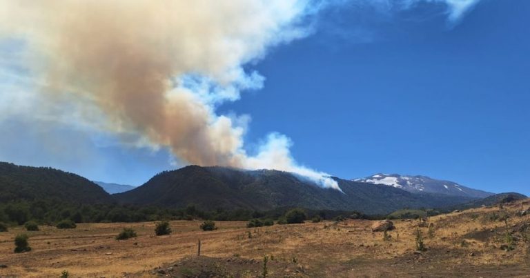 Incendio forestal fuera de control afecta al sector El Barco en Alto Biobío