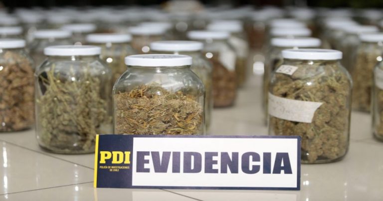PDI incautó droga que sería distribuida en locales nocturnos de la provincia de Biobío