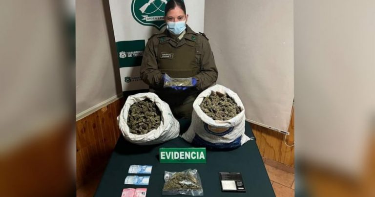 Más de 8.300 dosis de marihuana fueron incautadas tras allanamiento de una casa en Ñuble