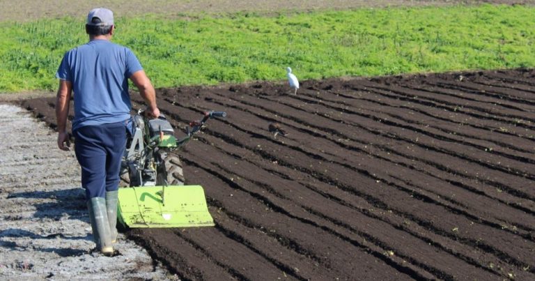 INDAP llama a agricultores del Biobío a postular a programa de recuperación de suelos agropecuarios