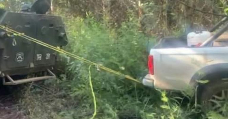 Operativo de carabineros recupera una camioneta forestal robada en Collipulli