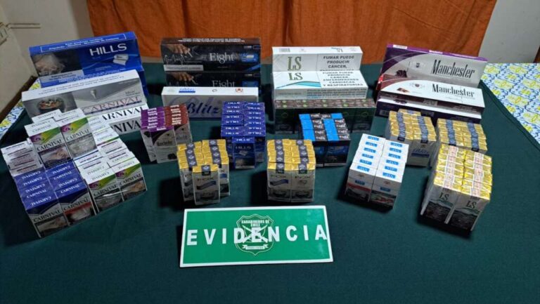 Casi 7 mil cigarrillos ilegales fueron incautados en un local de Mulchén